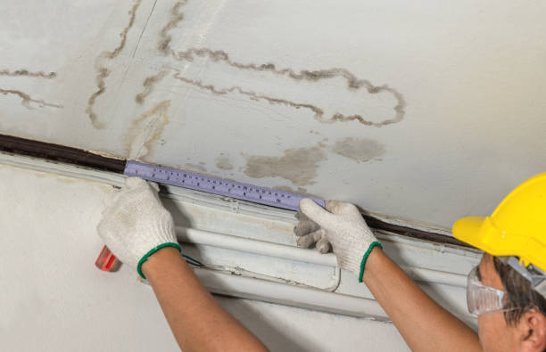 Reliable Burst Pipe Cleanup contractor in Hornbeak, TN by Water Damage Irwin